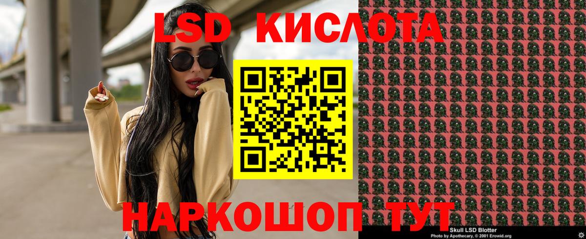 Наркотические марки 1500мкг  Вход с VPN  где можно купить   Елизово  Наркотические марки 1500мкг 