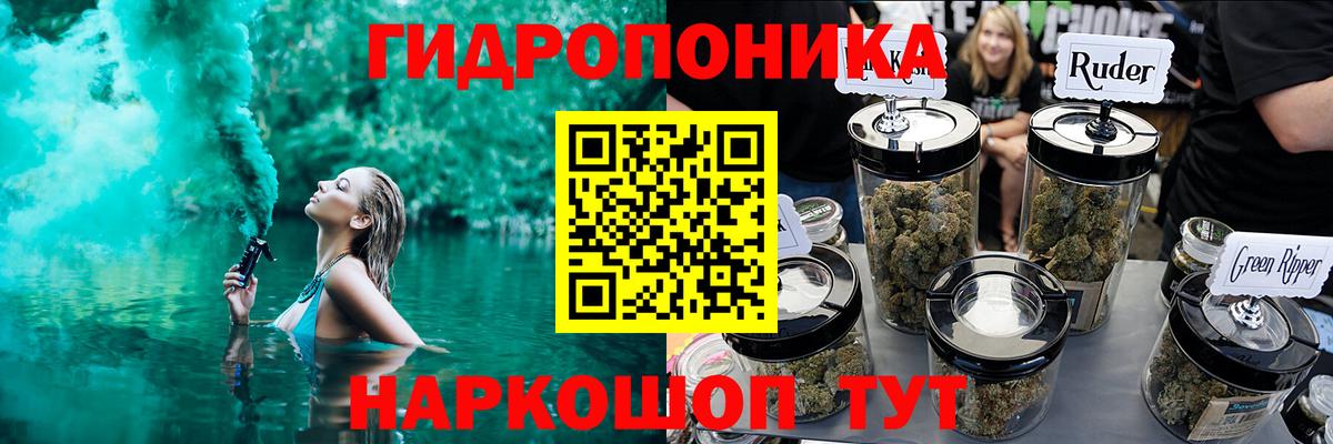 Бошки Шишки Amnesia Елизово