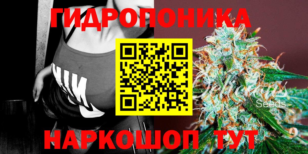 Марихуана Bruce Banner  Шишки марихуана сатива  МАРИХУАНА план  Вход с VPN  Елизово 